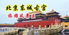 大鸡吧操小穴视频免费中国北京-东城古宫旅游风景区
